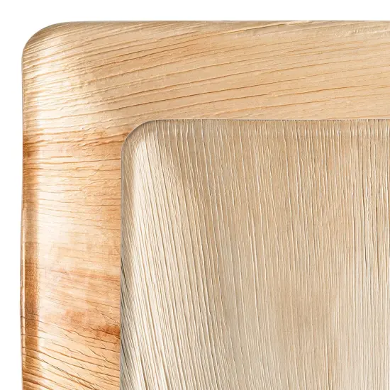 Square Palm Leaf Eco Friendly Disposable Dinnerware Value Set (100 Guests) {1}