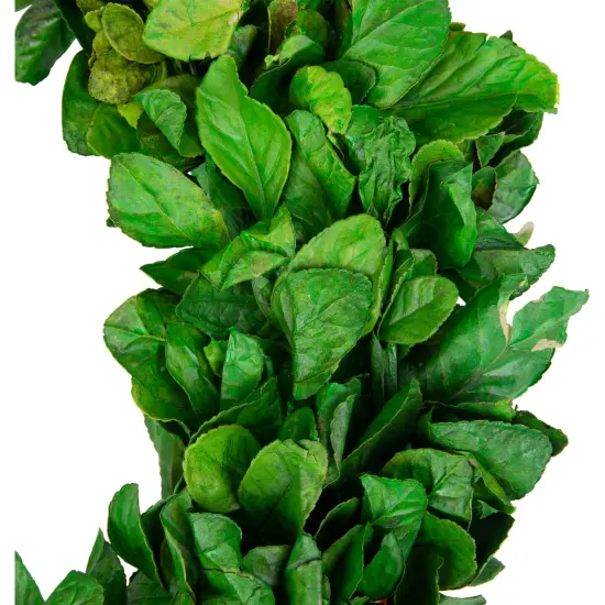Northlight Preserved Leaf Spring Garden Wreath - 20" - Unlit Green {5}