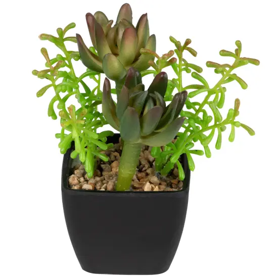 Northlight Potted Artificial Succulent Arrangement - 6" Green {6}