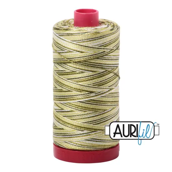 Spring Prairie - Variegated (4653) | 12wt Large Spool (325M / 356Y) | Aurifil Thread {1}