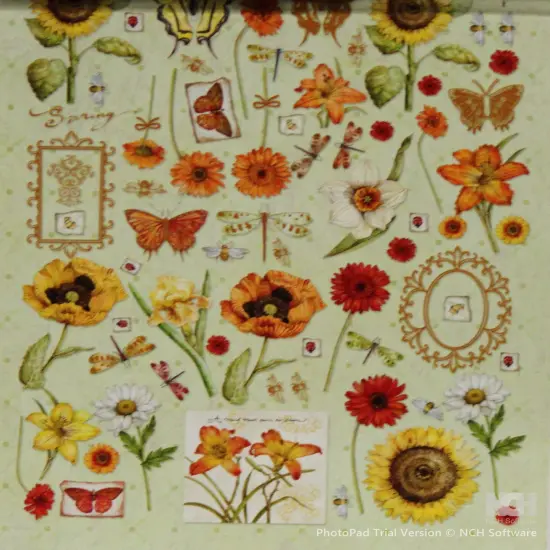 K & Company Tim Coffey Cottage Garden Warm Mix Die-cut Cardstock & Acetate {2}