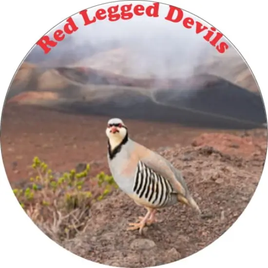 Chukar Red Legged Devils Ceramic Car Coaster Set 2.56" (2 Pack) {1}
