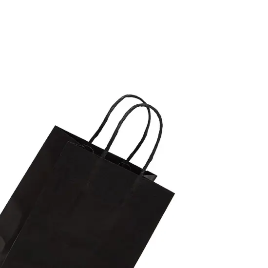 Extra-Large Kraft Shopping Bags 5.5" x 3.25" x 8.375" {6}