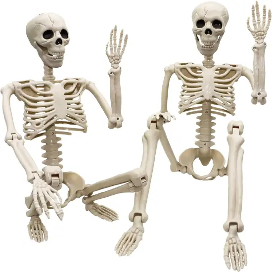 2 pcs 3 ft Life Size Human Skeleton with Full Body Posable Joints {1}
