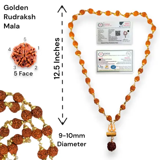 Certified Rudraksha Mala 5 Face (panchmukhi) Authentic Genuine Rudraksh Beads Rosary Japa Mala Bead Necklace Puja Prayer Meditation Beads Gold/silver Plated Mala for Men Women (1 Pcs) {6}
