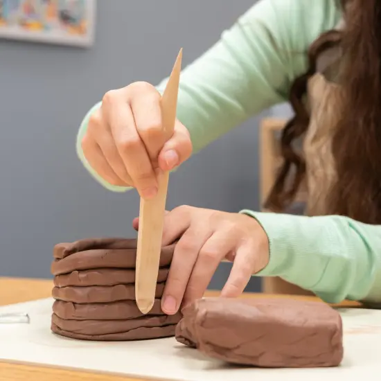 Sax Low Fire Earthenware Clay, Red, 50 Pounds {5}