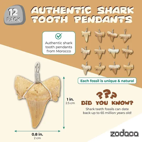 12 Pack Shark Teeth Necklace Pendants for DIY Crafts (0.787 x 0.98 In) {2}