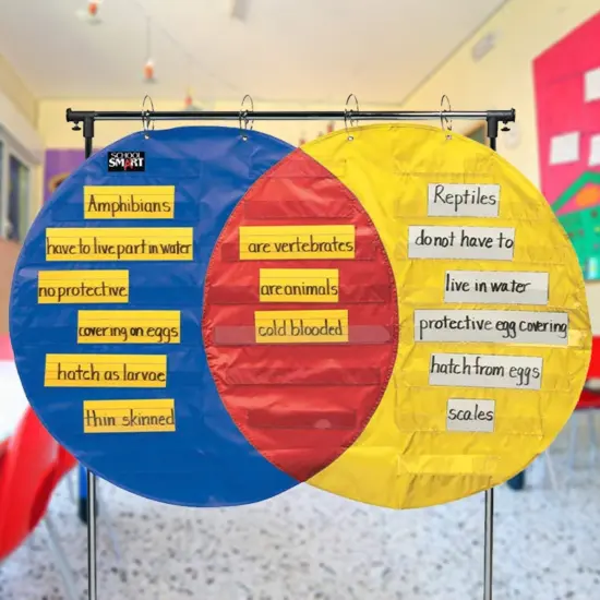 School Smart Venn Diagram Pocket Chart with 3 Circles, 23 Pockets, 35-1/2 x 54 Inches {3}