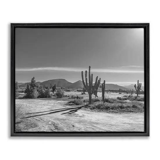 Stupell Industries Sunlit Cactus Valley Floating Frame, design by Norm Stelfox {1}