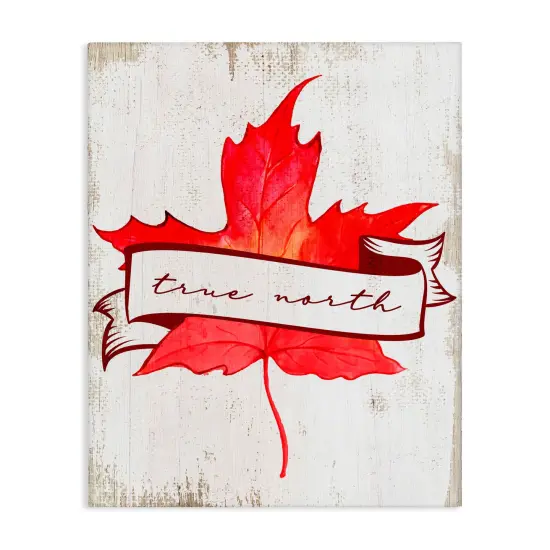 Stupell Industries True North Maple Leaf Canvas, design by Lil' Rue {1}