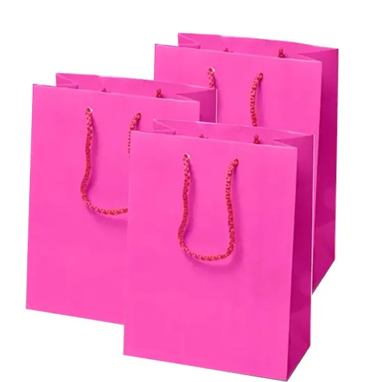 Chic Mini Glossy Paper Totes 6 1/4'' x 3 1/2'' x 8 1/2'' for Elegant Use Shocking Pink {2}