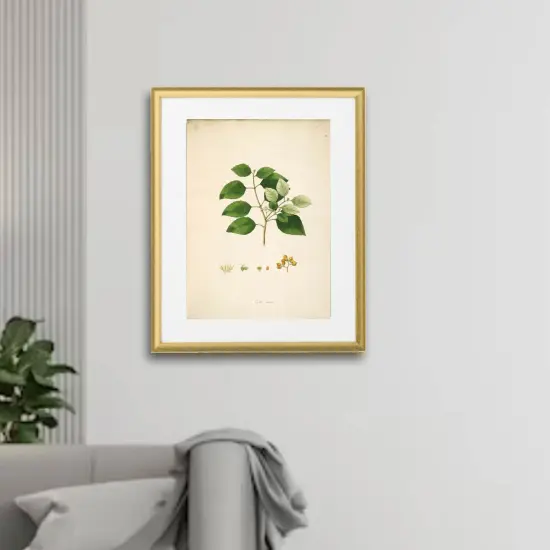 Gold Frame with Mount, 16x20" &ndash; Easy No-Nail Hanging, Horizontal or Vertical! {5}