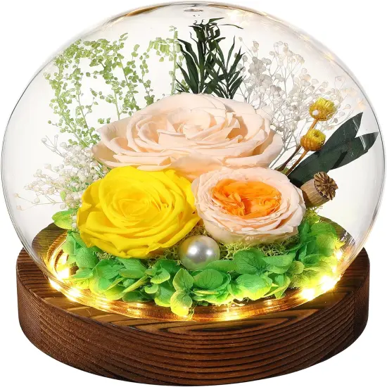 Gifts for Her Preserved Flower Rose in Glass Dome {1}