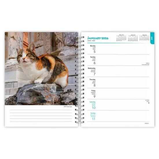Cat Lovers | 2026 6x7.75 Inch Spiral-Bound Wire-O Weekly Engagement Planner Calendar | New Full-Color Image Every Week {3}