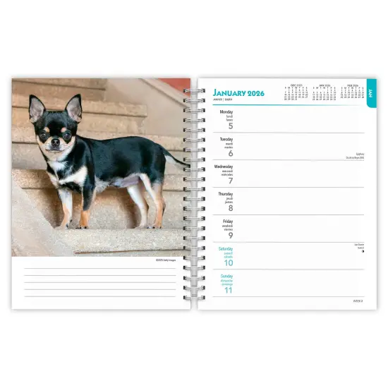 Chihuahuas | 2026 6x7.75 Inch Spiral-Bound Wire-O Weekly Engagement Planner Calendar | New Full-Color Image Every Week {3}