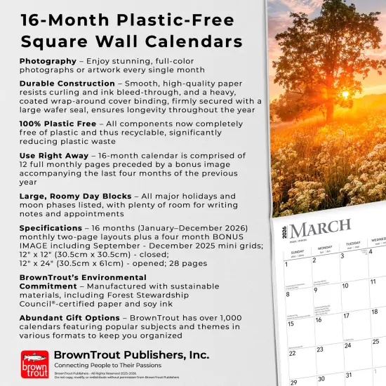 Psalms | 2026 12 x 24 Inch (Hanging) Monthly Square Wall Calendar | Plastic-Free {6}