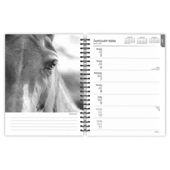The BrownTrout Portrait Series: The Noble Horse | 2026 6x7.75 Inch Spiral-Bound Wire-O Weekly Engagement Planner Calendar | New Image Every Week {3}