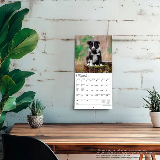 Border Collie Puppies | 2026 7 x 14 Inch (Hanging) Monthly Mini Wall Calendar {5}