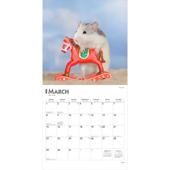 Rats | 2026 12 x 24 Inch (Hanging) Monthly Square Wall Calendar | Plastic-Free {3}