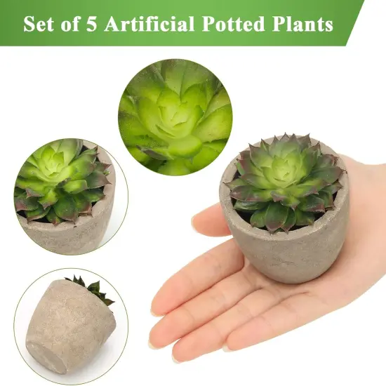 Artificial Succulent Plants Potted, Assorted Decorative Faux Succulent Potted Fake Cactus Cacti Plants with Pots, Set of 5 {3}