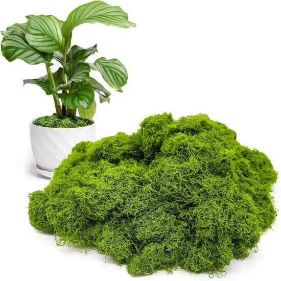 Fake Green Moss for Potted Plants Indoor, 5.3oz Artificial Moss for Crafts, Faux Moss Decor for DIY Decorative, Model Making, Walls, Glass Containers, Home {1}
