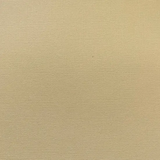 WINTER WHEAT - Textured 12x12 Cardstock - Encore Paper {1}