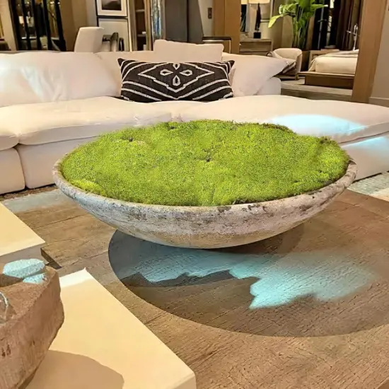 Preserved Pillow Moss Bulk Green Moss Balls for Bowls 2.5 sq.ft Natural Preserved Pole Moss Pillow for Wall Art Terrariums Crafts Fairy Gardens Pot Plants Easter Table Decor Yellow Green {2}