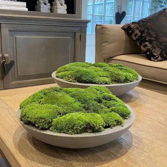 Preserved Moss Bulk Green Natural Preserved Pole Moss Pillow for Potted Plants 2.5 sq.ft Green Moss Balls for Bowls Wall Art Terrariums Crafts Fairy Gardens Easter Table Decor {2}