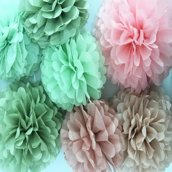 Tissue Paper Pom Poms Kit Decor -Rose Pink and Sage Green Paper Flowers 12pieces for Gender Baby Shower Wedding Bridal Bachelorette Birthday Party Decorations (Green + Pink) {4}