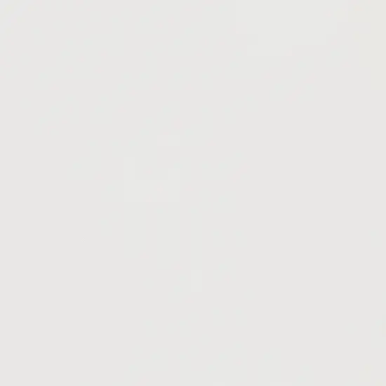 BRIGHT WHITE Glitter Luxe Cardstock - Encore Paper {1}