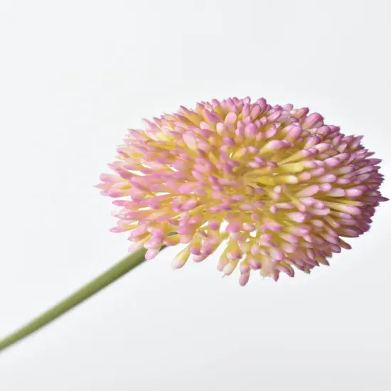 17.5" Faux Lavender Allium Stem {1}