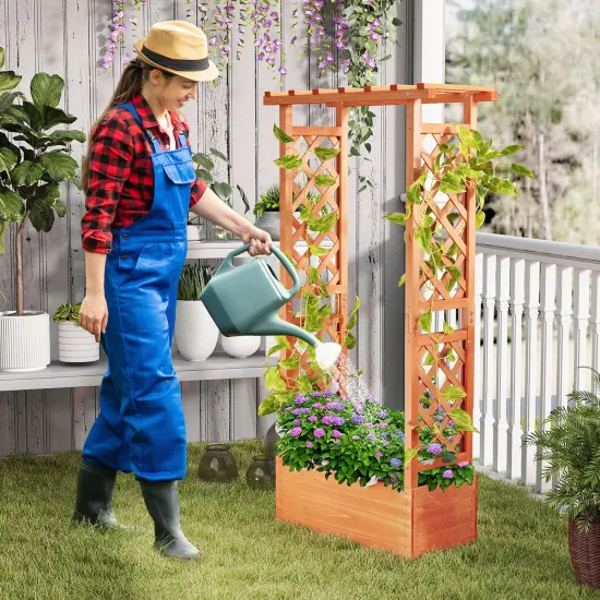 Orange Fir Wood Raised Garden Bed with Trellis and Hanging Roof 31x14x60 {2}