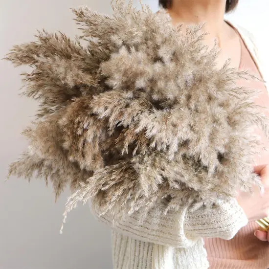 30 Stems Home Decor - Natural Dried Pampas Grass, Fluffy Brown Pompas Grass, Dry Small Pampas Bulk for Living Room Table Decor {5}