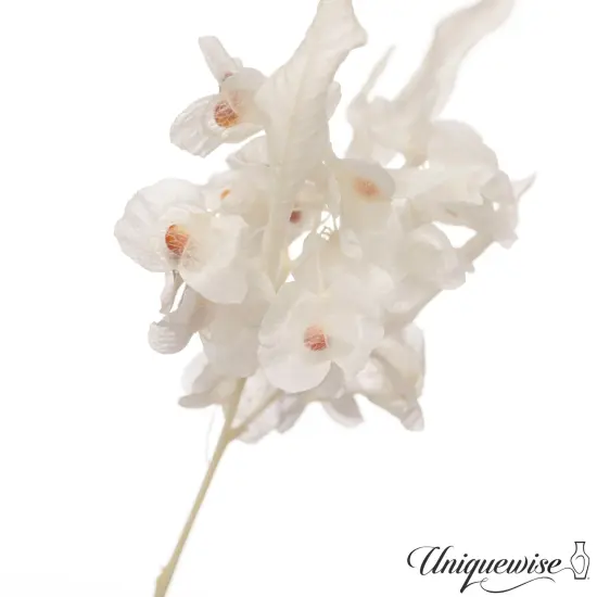 Uniquewise Preserved Real Floral Stems Chic Vase Fillers & Accents for Bouquets Centerpieces & Ornamental Displays Ideal for Home Office Boutique Cafe Resto Bar and Event Decor White pansy {5}