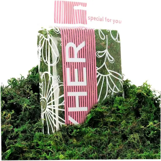 Preserved Forest Moss, Fresh Green (8OZ) {2}