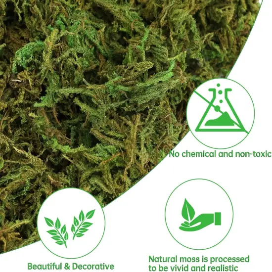 Large Capacity Artificial Moss for Potted Plants,Natural Artificial Moss Grass for Fake Plants Indoor,Craft Moss and Greenery Bulk,Forest Moss for Hamsters {2}