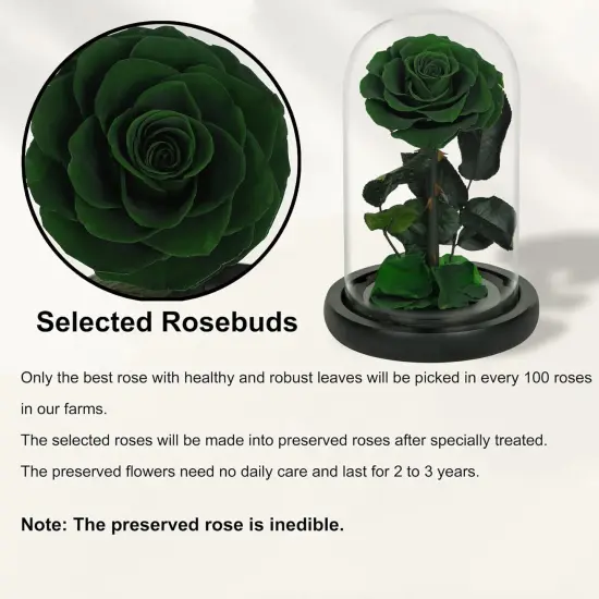 Handmade Preserved Roses in Glass Dome, Long lasting Green Roses Real, Flowers for Women {4}
