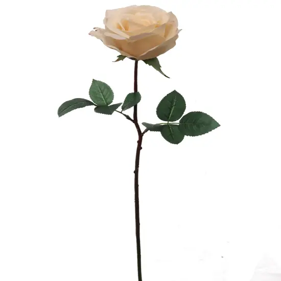 12PCS 27&rdquo; Real Touch Peach Rose &ndash; 4&rdquo; Diameter Artificial Flower {1}