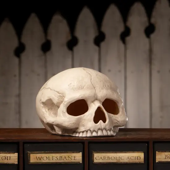 BETHANY LOWE SKULL VOTIVE {3}