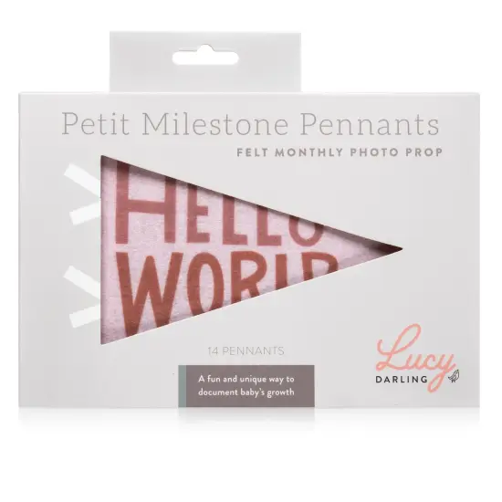 MOUNTAIN FIELDS PETIT MILESTONE PENNANTS {3}