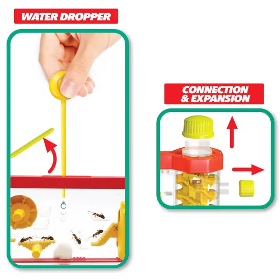 Lanard Nature Explorer: Ant Condo - Interactive Insect Sand Habitat, House & Maintain An Active Colony, All-In-1 Observation, STEM Toy, Kids Ages 3+ {4}