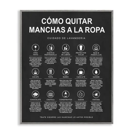 Stupell Industries Guía de Limpieza de Manchas, Negro Framed Giclee Art Gray Framed {1}