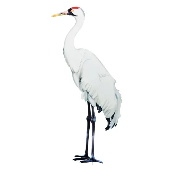 Collections Etc Realistic Whooping Crane Outdoor Garden Stake {2}