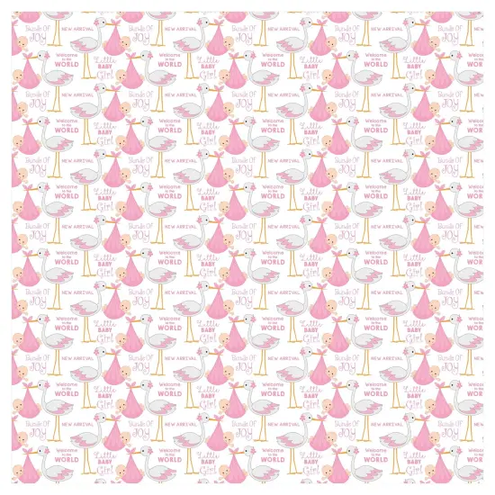 Pack of 3 - Little Birdie Little Miracle Cardstock Pack 12"X12" 12/Pkg-Baby Girl {5}