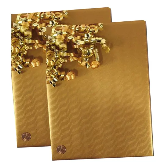 Sand Dunes Embossed Metallic Wrapping Paper 30" x 417" Roll {4}