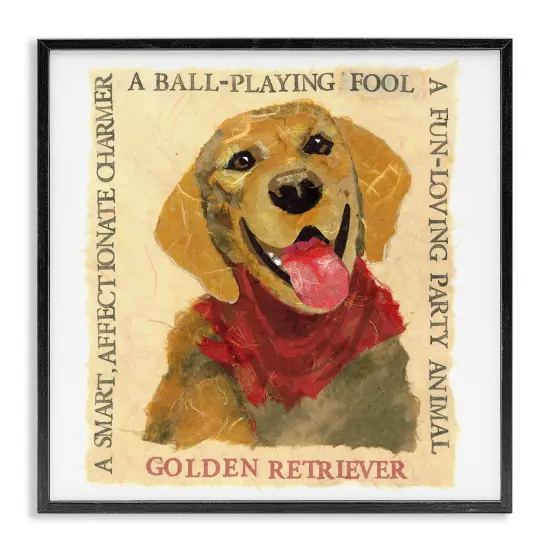 Stupell Industries Fun Golden Retriever Phrases Framed Giclee Wall Art Design by Nancy Overton {7}