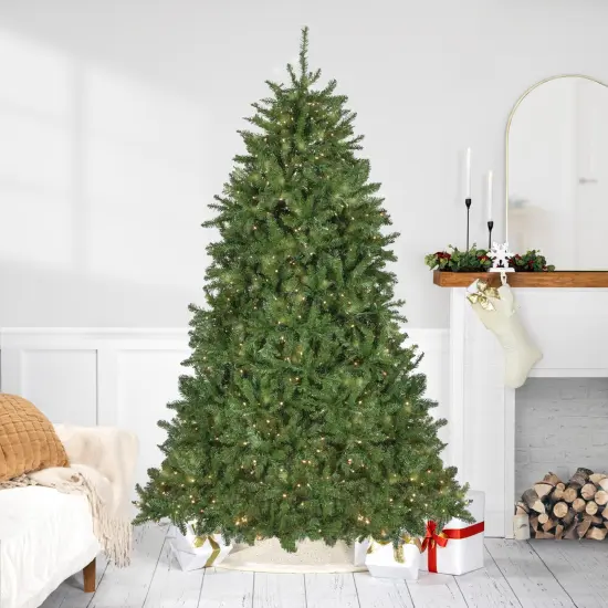 Northlight 7.5' Pre-Lit Rockwood Pine Artificial Christmas Tree, Clear LED Lights Green {1}