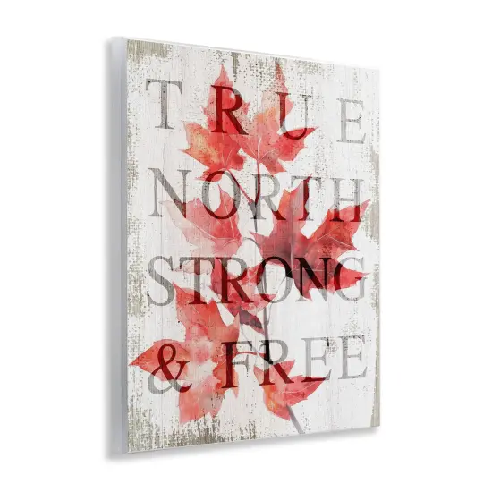 Stupell Industries True North Strong & Free Wall Plaque, design by Lil' Rue {3}