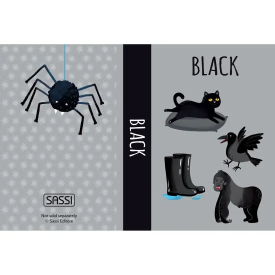 Sassi: My First Library - Colors - 8 Cardboard Mini-Book Set, World Of Colors Illustrated Exploration, Read-Learn-Play, Portable Box, Kids-Toddlers 2+ {3}