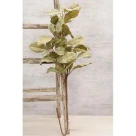 33" Light Green Halcyon Leaf Spray with Brown-Wrapped Stem {2}